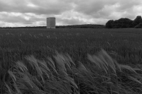 https://www.imd.tu-braunschweig.de/files/gimgs/th-131_131_zumthorkapelle-1.jpg