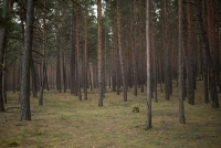 https://www.imd.tu-braunschweig.de/files/gimgs/th-132_132_michendorf-58-von-1.jpg