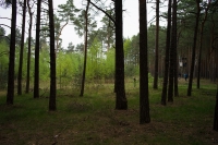 https://www.imd.tu-braunschweig.de/files/gimgs/th-132_132_timeout-1.jpg