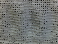 https://www.imd.tu-braunschweig.de/files/gimgs/th-155_155_16.jpg
