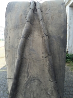 https://www.imd.tu-braunschweig.de/files/gimgs/th-165_165_47.jpg