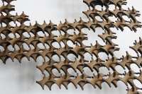 https://www.imd.tu-braunschweig.de/files/gimgs/th-182_182_molekuelmodel1.jpg