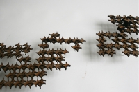 https://www.imd.tu-braunschweig.de/files/gimgs/th-182_182_molekuelmodel2.jpg