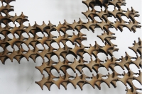 https://www.imd.tu-braunschweig.de/files/gimgs/th-182_182_molekuelmodel4.jpg