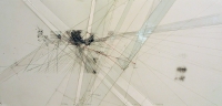 https://www.imd.tu-braunschweig.de/files/gimgs/th-26_26_latzsebastian04.jpg