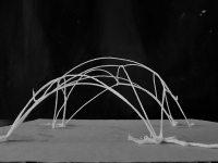 https://www.imd.tu-braunschweig.de/files/gimgs/th-270_Catenary_Models3.jpg