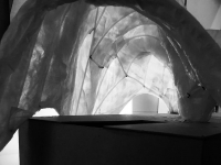 https://www.imd.tu-braunschweig.de/files/gimgs/th-270_Catenary_Models4.jpg