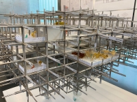 https://www.imd.tu-braunschweig.de/files/gimgs/th-288_IMG_5560.jpg