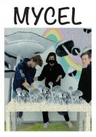 https://www.imd.tu-braunschweig.de/files/gimgs/th-328_MYCELCOMIC_Page_1.jpg