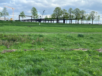 https://www.imd.tu-braunschweig.de/files/gimgs/th-370_IMG_1908_Kopie.jpg
