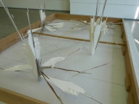 https://www.imd.tu-braunschweig.de/files/gimgs/th-50_50_model03.jpg
