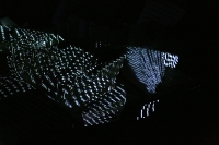 https://www.imd.tu-braunschweig.de/files/gimgs/th-63_63_img2283.jpg