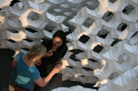 https://www.imd.tu-braunschweig.de/files/gimgs/th-71_71_spaceiinversionsopening2small.jpg