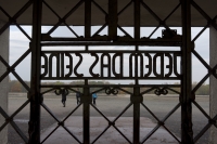 https://www.imd.tu-braunschweig.de/files/gimgs/th-83_83_buchenwald07.jpg