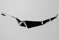 https://www.imd.tu-braunschweig.de/files/gimgs/th-8_8_laatz09.jpg